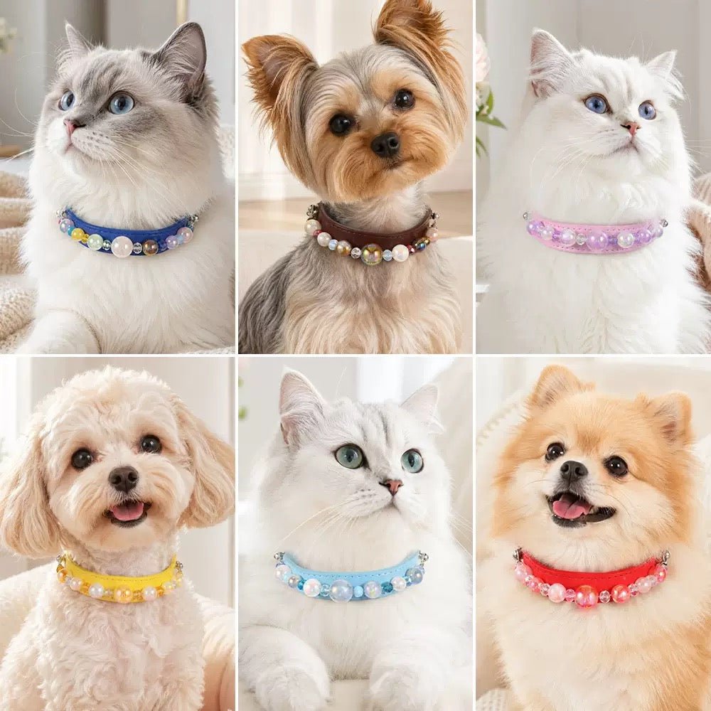 Colorful jewelry Pet Collar（Detachable） - Glinn Studio