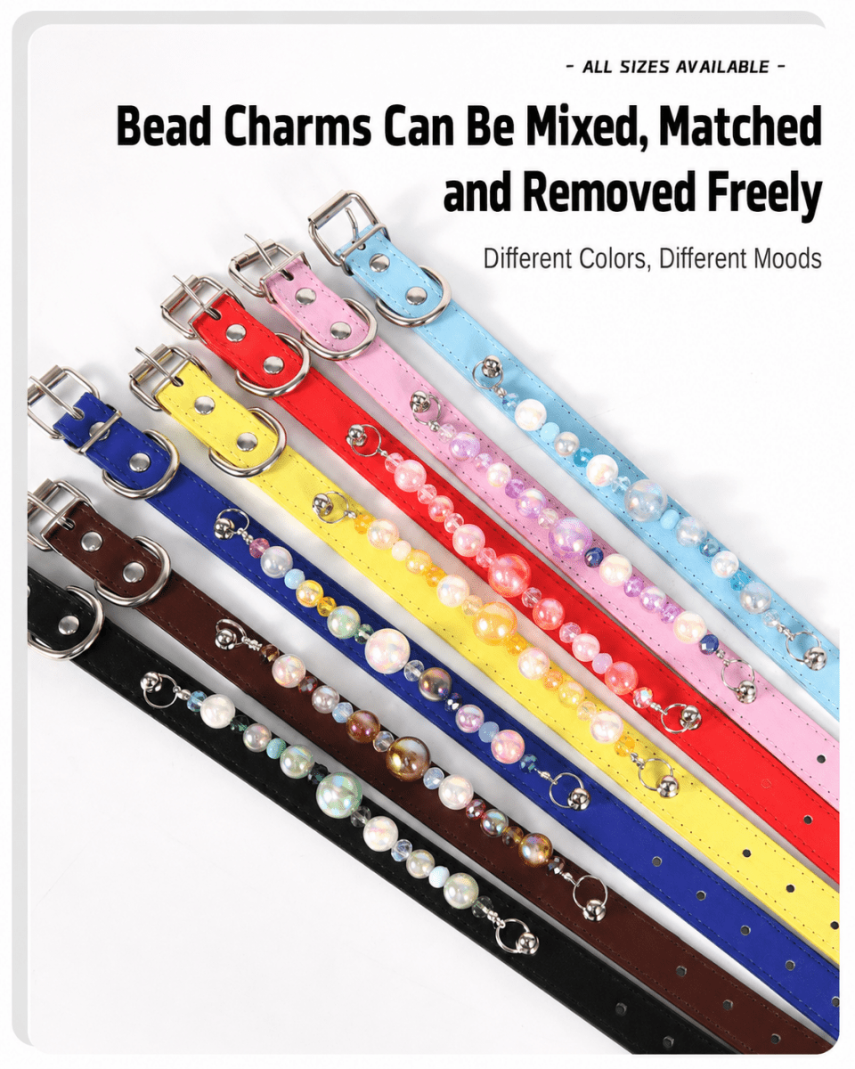 Colorful jewelry Pet Collar（Detachable） - Glinn Studio