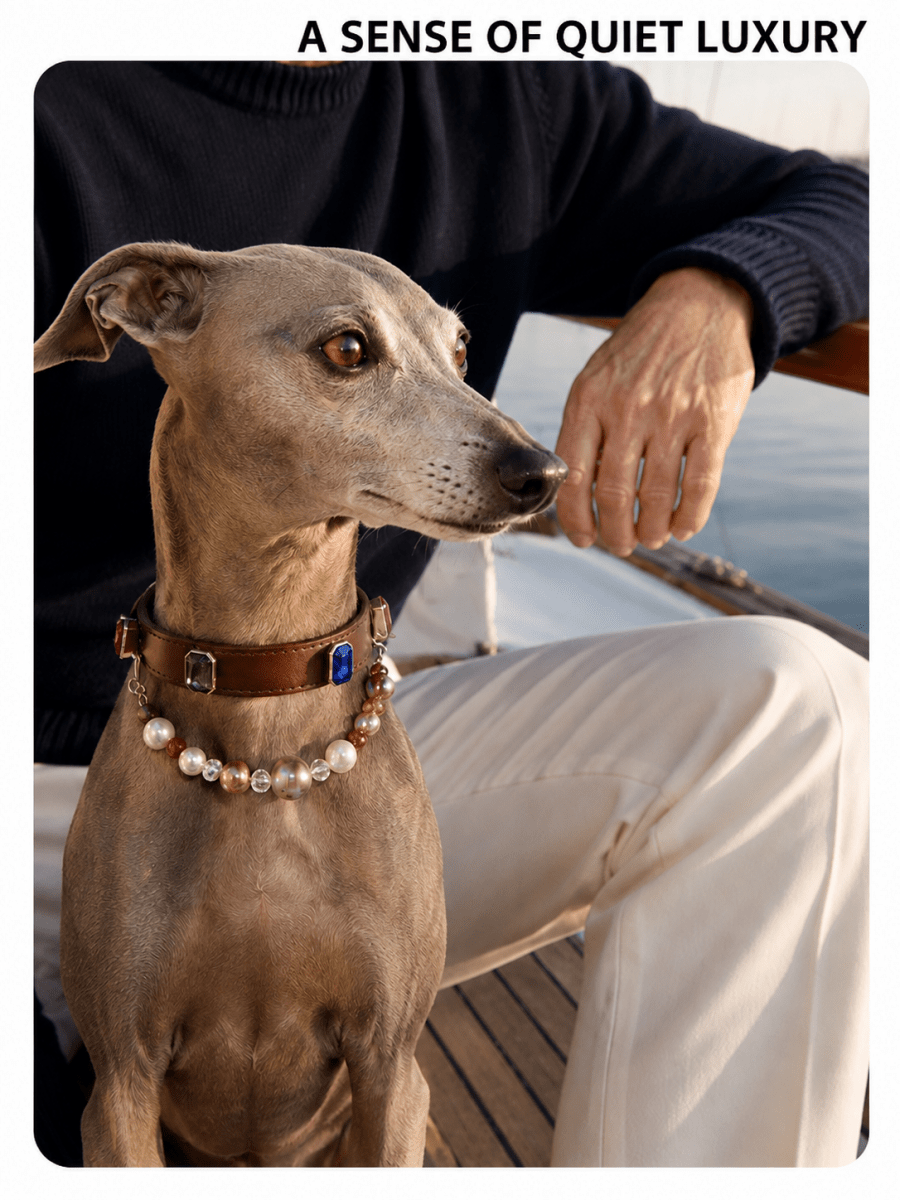 DIY Elegant Gem Pet Collar( for cats&dogs ) - Glinn Studio