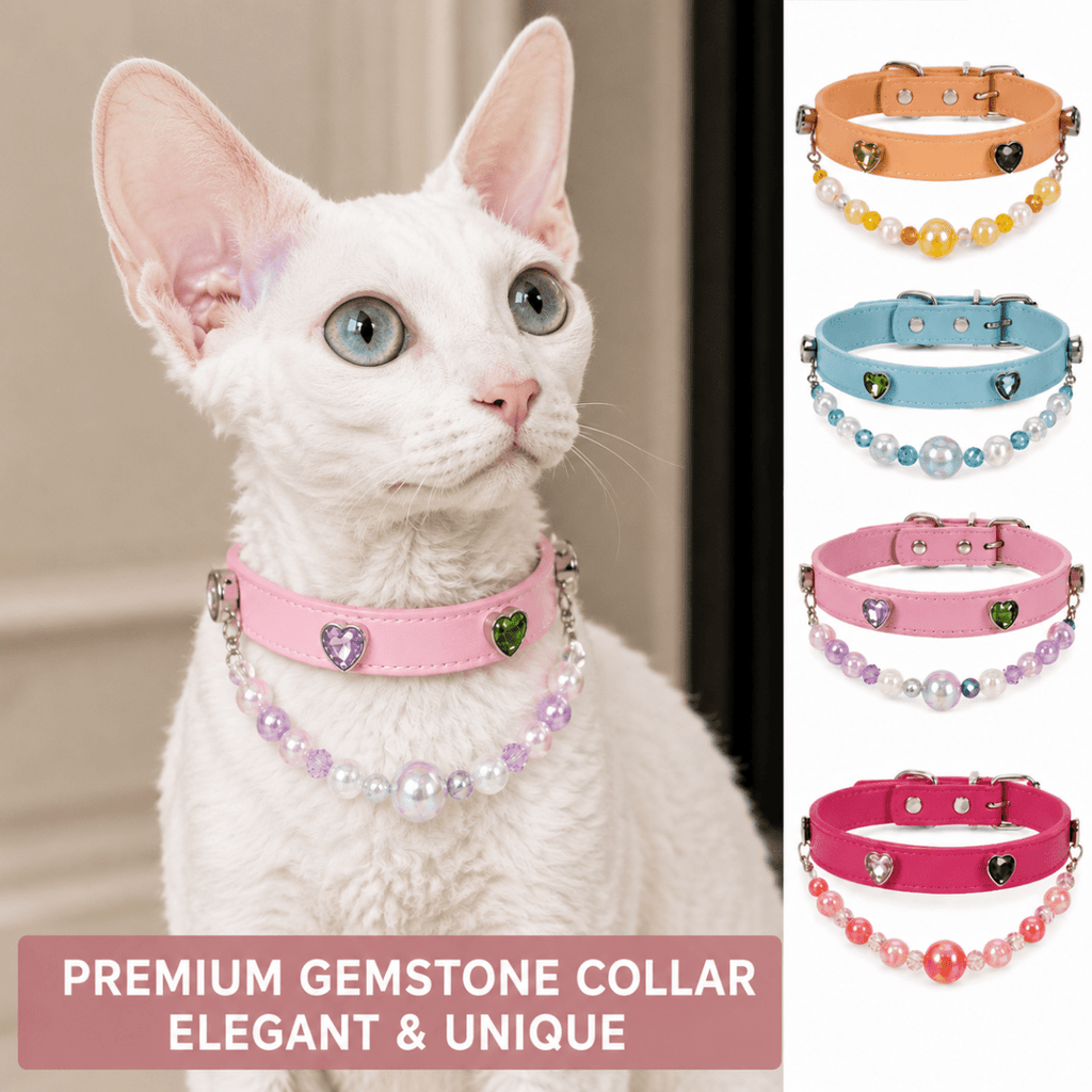 DIY Elegant Gem Pet Collar( for cats&dogs ) - Glinn Studio
